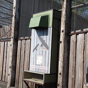 Periscope for viewing bearded vultures, 2025-04-12