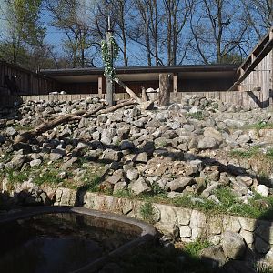 Bearded vulture aviary, 2025-04-12