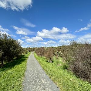 Natural Heritage Park - Walking Track