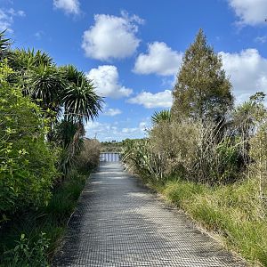 Natural Heritage Park - Jetty