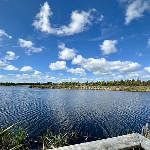Natural Heritage Park - Lake