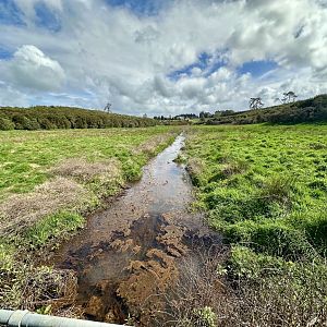 Natural Heritage Park - Stream