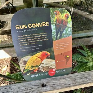 Sun Conure Signage