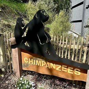 New Chimpanzee Signage