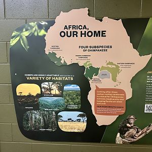 Common Chimpanzee Distribution Signage