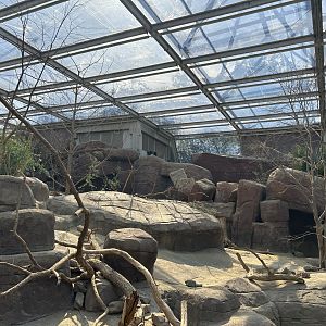 Desert - Collared Peccary/Prarie Dog Exhibit