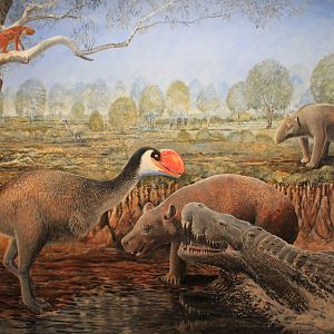 Recreation of Alcoota habitat - Megafauna Central museum