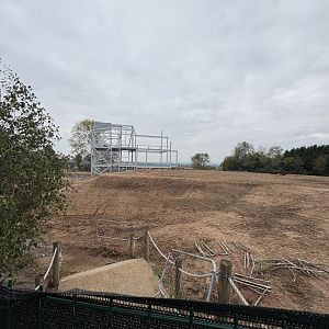 Orangutan Building Framework