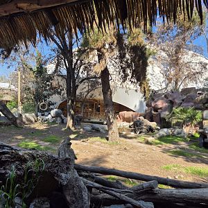Lowland Tapir exhibit