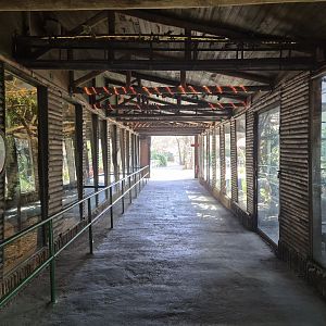Row of Tamarin exhibits