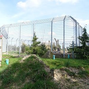 Wildkatzenzentrum Felidae - tiger enclosure