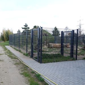 Wildkatzenzentrum Felidae - brown hyena enclosure