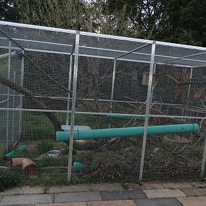 Wildkatzenzentrum Felidae - Siberian weasel enclosure