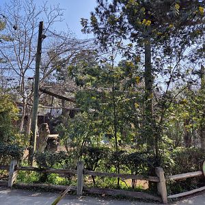 Andean condor exhibit