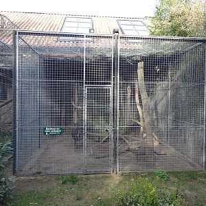 Wildkatzenzentrum Felidae - second fossa enclosure