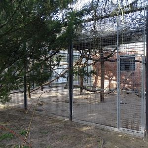 Wildkatzenzentrum Felidae - tayra enclosure