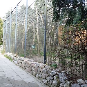 Wildkatzenzentrum Felidae - Male black leopard enclosure