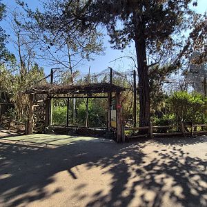 Chilean Puma exhibit