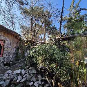 Chinese Red Panda exhibit