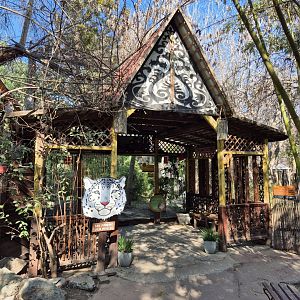 Snow Leopard exhibit