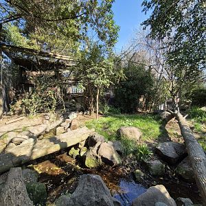 Snow Leopard exhibit