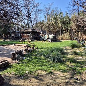 Red Kangaroo walkthrough exhibit