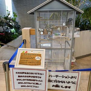 Derbyan Parakeet Cage - Itabashi Botanical Garden September 27, 2025