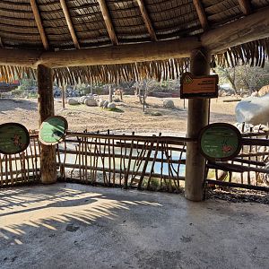 African Savanna viewing point