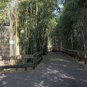 Walkway next to Clouded leopard exhibit, 2025-04-12