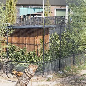 Barn connected to African wild dog exhibit and Off-show aviary, 2025-04-12