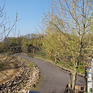 Walkway between the Domestic Bactrian camel and Chinese dhole exhibits, 2025-04-12