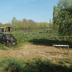 Part of the Chinese dhole exhibit, 2025-04-12