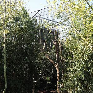 Binturong exhibit, 2025-04-12