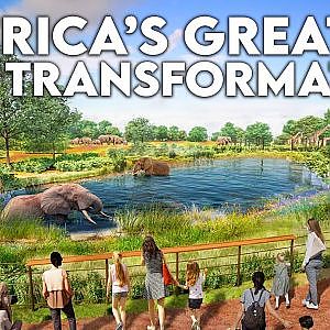 Brookfield Zoo's Master Plan
