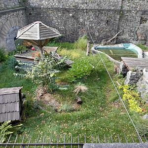 Konopiště castle - former bear pit