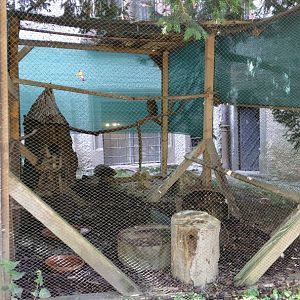 Konopiště castle - Owl exhibit