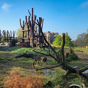 Sep. 2025 - NEW! - North America Trek - Black Bear Exhibit