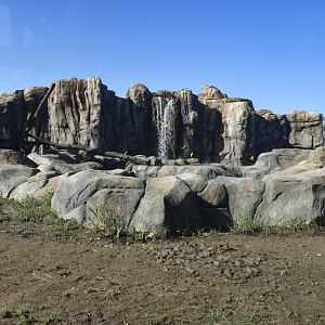 Sep. 2025 - NEW! - North America Trek - Black Bear Exhibit