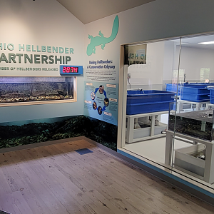 Sep. 2025 - NEW! - North America Trek - Habitat Hollow - Hellbender Exhibit