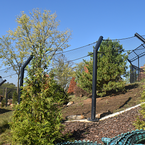 Sep. 2025 - NEW! - North America Trek - Mexican Wolf Exhibit