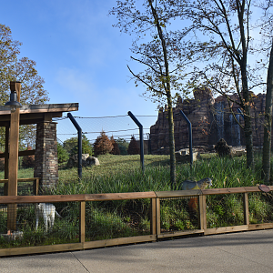 Sep. 2025 - NEW! - North America Trek - Mexican Wolf Exhibit