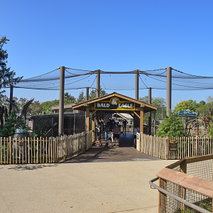 Sep. 2025 - NEW! - North America Trek - Bald Eagle Exhibit