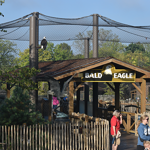 Sep. 2025 - NEW! - North America Trek - Bald Eagle Exhibit