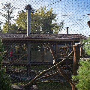 Sep. 2025 - NEW! - North America Trek - Bald Eagle Exhibit