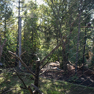 Sep. 2025 - NEW! - North America Trek - Bald Eagle Exhibit Right Side