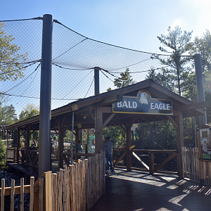 Sep. 2025 - NEW! - North America Trek - Bald Eagle Exhibit