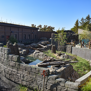 Sep. 2025 - NEW! - North America Trek - River Otter Exhibit