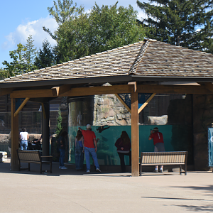 Sep. 2025 - NEW! - North America Trek - River Otter Exhibit