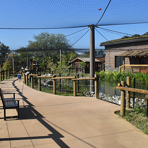 Sep. 2025 - NEW! - North America Trek - Trumpeter Swan Exhibit