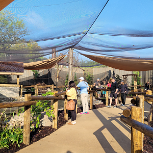 Sep. 2025 - NEW! - North America Trek - Songbird Aviary